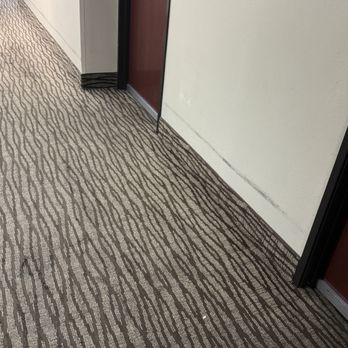 Comfort Inn & Suites - Scrapes along hallway walls and doors. - Hotels Near Me - Seguin, Texas Comfort Inn & Suites - Scrapes along hallway walls and doors. - Hotels Near Me - Seguin, Texas