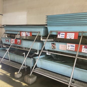 The Lobster Man - Warehouse store - Seafood Markets Near Me - Vancouver, British Columbia