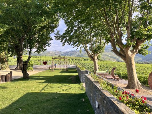 Quinta da Pacheca by null