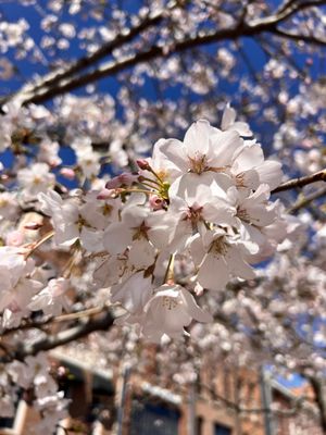 Riverfront Park by null