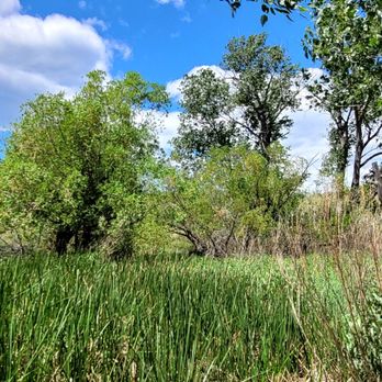 Big Medicine - Water reeds and trees right outside the fence/perimeter. - Alternative Medicine Near Me - Hot Springs, Montana Big Medicine - Water reeds and trees right outside the fence/perimeter. - Alternative Medicine Near Me - Hot Springs, Montana