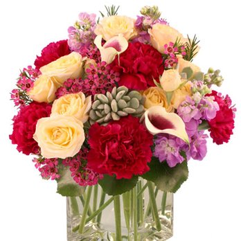 White Orchid Floral - Florists Near Me - Bronx, New York White Orchid Floral - Florists Near Me - Bronx, New York
