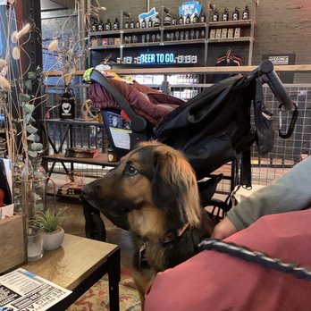 BrewDog Cincinnati - Kid and Pet friendly - Breweries Near Me - Cincinnati, Ohio