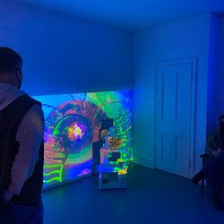 Da Vinci Art Alliance - Ava Haitz installation January 2023 "Channelled" in Gallery 3