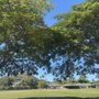 Photo of Lanikai Park
