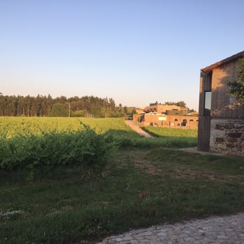 Hotel Monverde - Hotel and vineyard - Hotels Near Me - Telões, 13