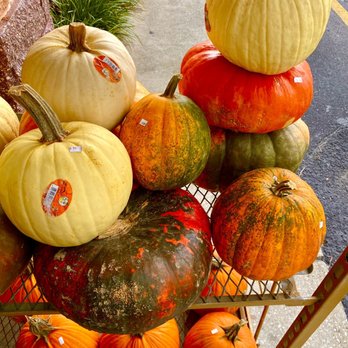 Perrine's Produce - a variety of pumpkins - Grocery Near Me - Port Orange, Florida Perrine's Produce - a variety of pumpkins - Grocery Near Me - Port Orange, Florida