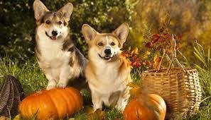 o Jupiter Florida Real Estate For Sale