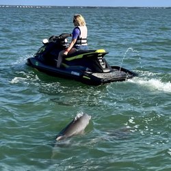 H2O Jet Ski Rentals - Perfect day