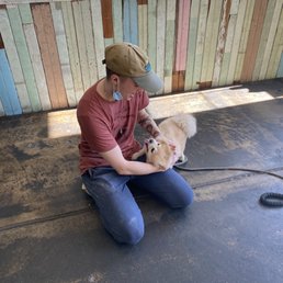 Tucker giving local pups love