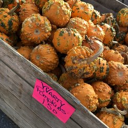 Bill's Produce - Pumpkins!