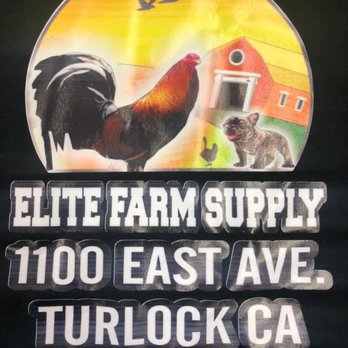 Elites feed store Farm supply - Pet Stores Near Me - Turlock, California Elites feed store Farm supply - Pet Stores Near Me - Turlock, California