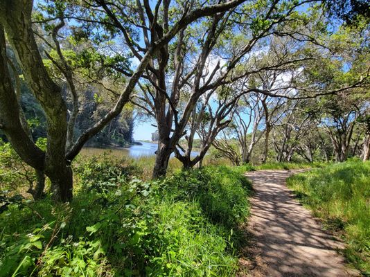 Twin Lakes State Beach by null