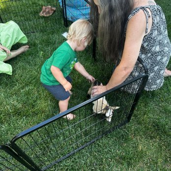 Bring the Barn - Petting Zoos Near Me Bring the Barn - Petting Zoos Near Me