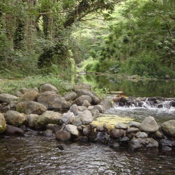 Waipi'o Valley - Your Reward at the Bottom of The Cliff: The Valley Floor - Beaches Near Me
