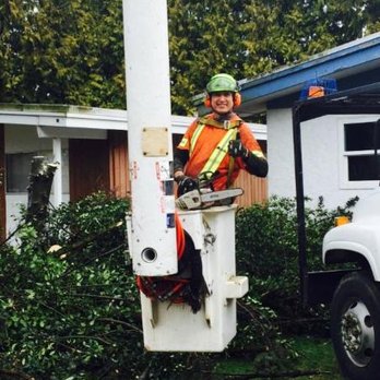 Johnny 5's Tree Services - Tree Services Near Me - Rosedale, British Columbia