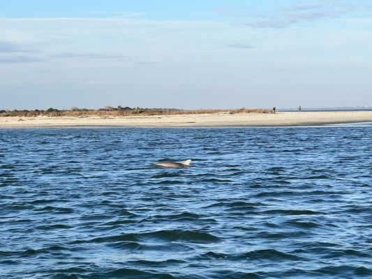 Charleston Outdoor Adventures by null