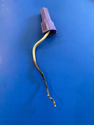 Tested and True Electric Logo