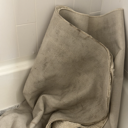 Dedicated Carpet Cleaning Service