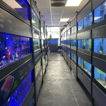 The Aquarium Connection - Fresh water aisle - Aquariums Near Me - Simi Valley, California The Aquarium Connection - Fresh water aisle - Aquariums Near Me - Simi Valley, California