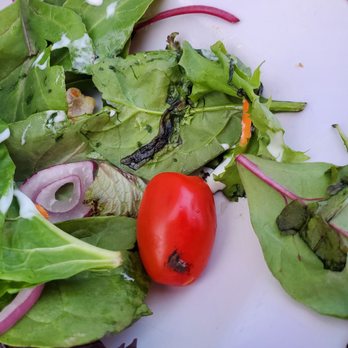 Timothy's Lionville - Rotten, black, slimy pieces of lettuce in my salad. Waitress just stared at me when I showed her. - New American Near Me - Exton, Pennsylvania Timothy's Lionville - Rotten, black, slimy pieces of lettuce in my salad. Waitress just stared at me when I showed her. - New American Near Me - Exton, Pennsylvania