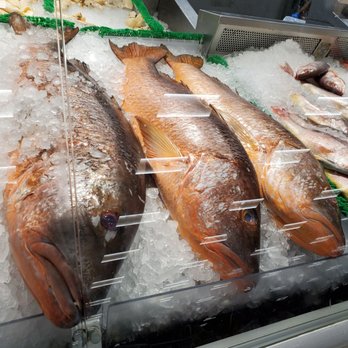Broward Meat & Fish - Snapper - Grocery Near Me - Pembroke Pines, Florida Broward Meat & Fish - Snapper - Grocery Near Me - Pembroke Pines, Florida
