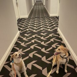 Kimpton Alton Hotel - Hallway vibes!
