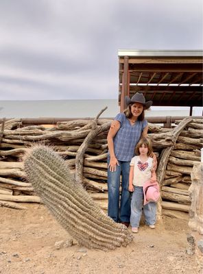 Tanque Verde Ranch by null