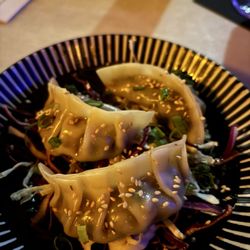 Wild Orange - Dumplings
