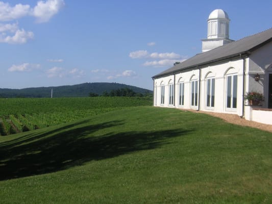 Barboursville Vineyards by null