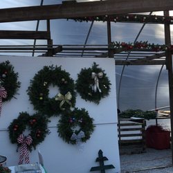 Texas Tree Farm - Wreaths