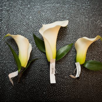 StemLine Creative - Florists Near Me - Chicago, Illinois