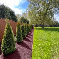Planted Landscaping