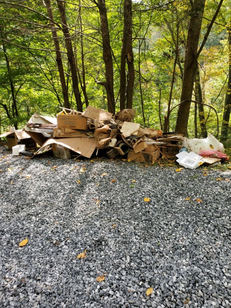 READY FREDDIE’S JUNK REMOVAL SERVICE Updated October 2024 51 Photos