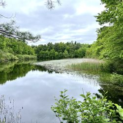 West Rock Ridge State Park-Lake Wintergreen