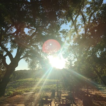 Dunning Ranch Guest Suites - View from the cottage - Bed & Breakfast Near Me - Paso Robles, California