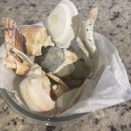 Shelling Tour Shelling Tour