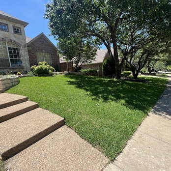 Grass DFW - You can see the difference!  Right side of the yard!   On the Left side of the sidewalk, Is the before.  The right side is the after. 3 - Lawn Services Near Me - Frisco, Texas