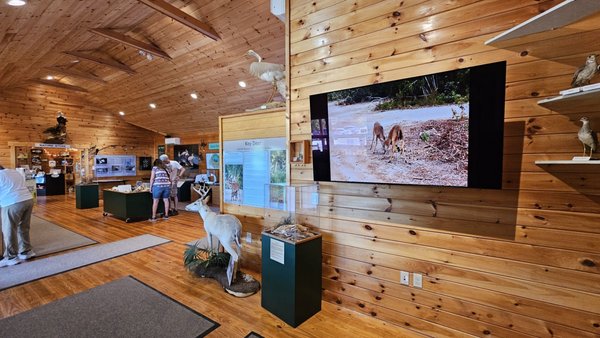 National Key Deer Refuge Nature Center by null