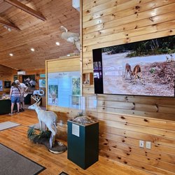 Florida Keys National Wildlife Refuges Nature Center - Interior