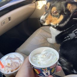 pup cup & cookie butter freeze