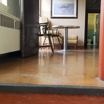 Puppy Love Yoga - You've arrived - Yoga Near Me - Toronto, Ontario