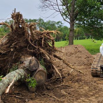 Don Rose Excavation Services - Stump Removal. We don't just grind the stump, we remove the entire root system! - Excavation Services Near Me Don Rose Excavation Services - Stump Removal. We don't just grind the stump, we remove the entire root system! - Excavation Services Near Me