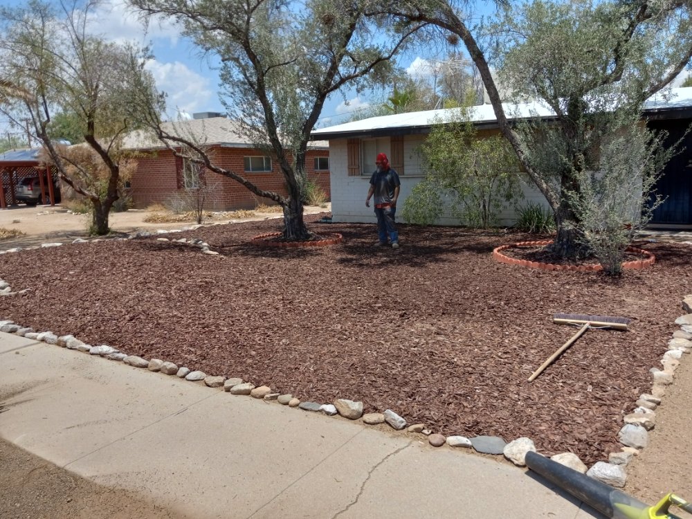 Rakim & Sons Get it Done - tree service in Tucson, AZ