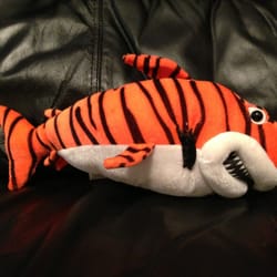 Goodwill Thrift Store & Donation Center - Tiger shark LOL