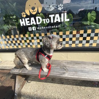 Head to Tail - Pet Stores Near Me - Cliffside Park, New Jersey
