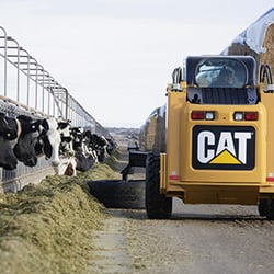 HOLT CAT Dallas