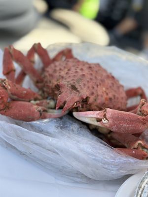 Quality Seafood Inc by null