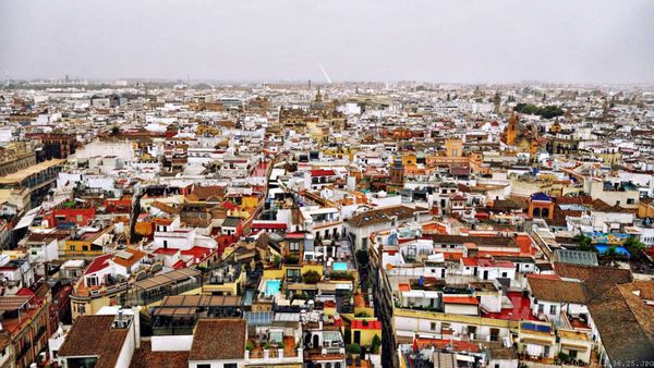Catedral de Sevilla by null