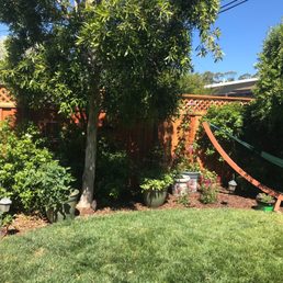 Our side of fence. Our side of fence.